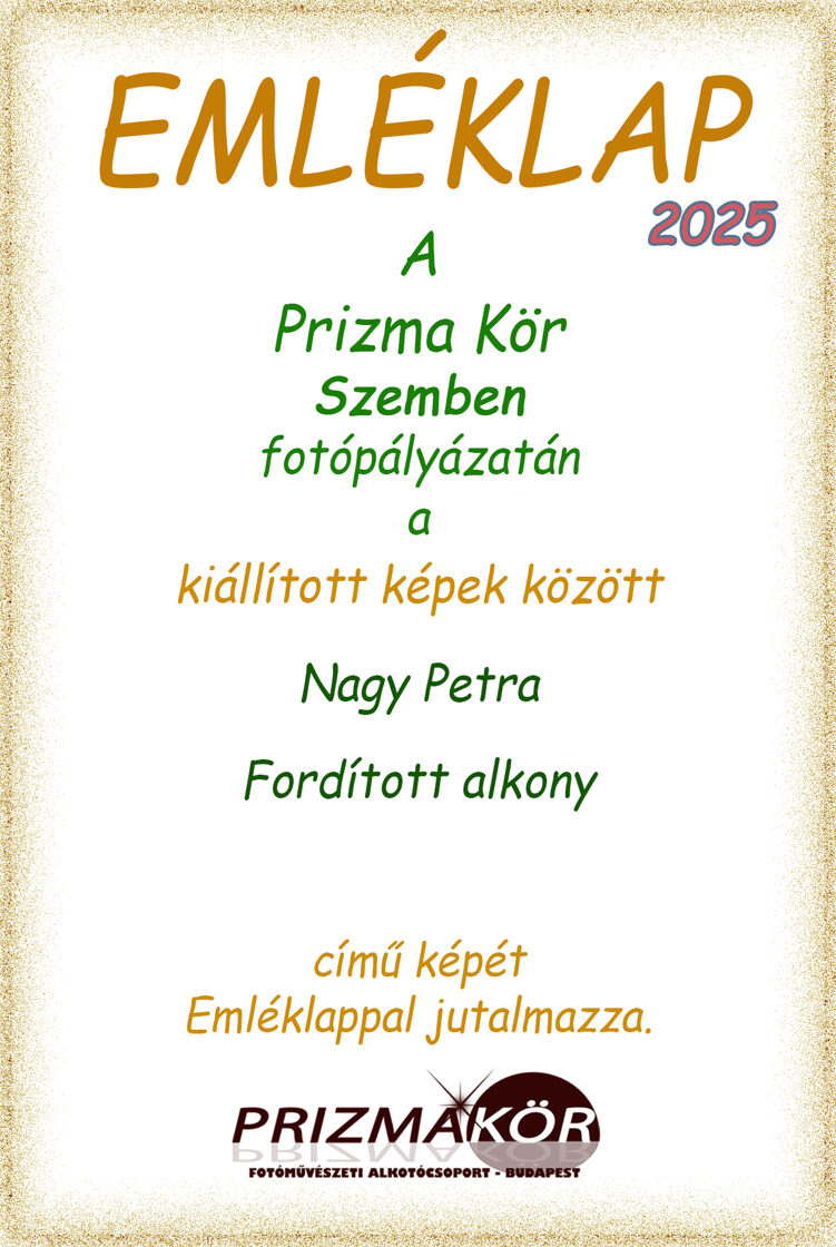 Nagy_Petra-1.jpg