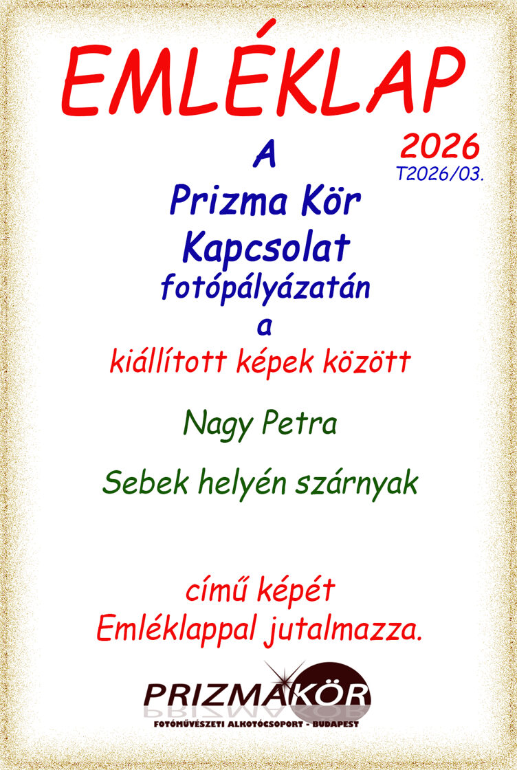 Nagy_Petra-2.jpg